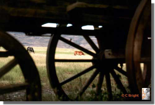 775_Hacienda_Ruta_Cuarenta_Arg