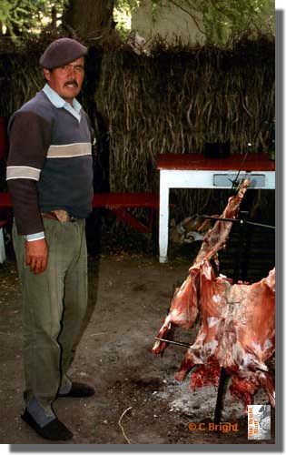 776_Gaucho_Ruta_Cuarenta_Arg