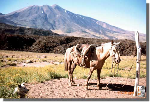 802_Out_there_Patagonia