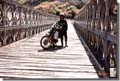 161_Bridge_Ethiopia