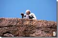 174_Guard_Lalibela_Ethiopia