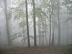 enduromania_2008_14.JPG