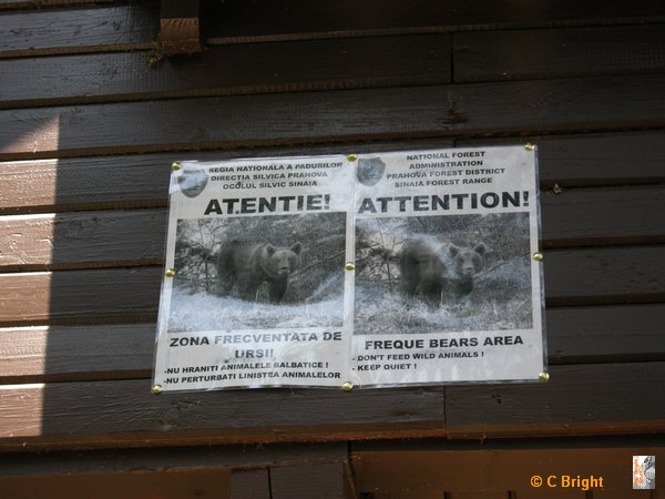 romania_2008_41_Scooby_sees_no_Bears.JPG