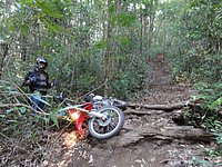 06 Must practice bunny hops N Thailand 2011.jpg