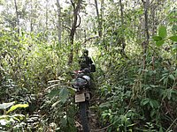 30 Quo Vadis N Thailand 2011.jpg