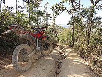 31 Narrow line N Thailand 2011.jpg