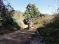 32 The usual N Thailand 2011.jpg
