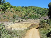 34 Fields N Thailand 2011.jpg