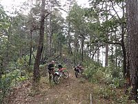 40 Up N Thailand 2011.jpg