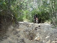 44 Top track N Thailand 2011.jpg