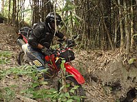 45 Down N Thailand 2011.jpg