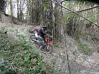 46 Down N Thailand 2011.jpg
