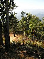 51 Trail N Thailand 2011.jpg