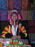 52 Tourist trap N Thailand 2011.jpg