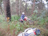 62 The only way is up N Thailand 2011.jpg