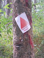 63 Racetrack N Thailand 2011.jpg