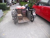 69 Egg delivery N Thailand 2011.jpg