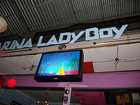 76 Wot it says N Thailand 2011.jpg